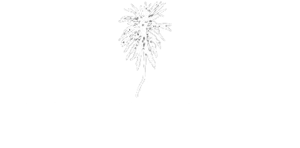 Bohemian Gardens Hotel, Protaras, Cyprus