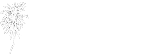 Bohemian Gardens Hotel Cyprus